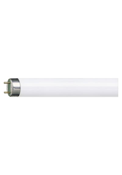 Philips Master Tl-D 18W T8 Snow White Floresan Ampul 60 CM Kar Be