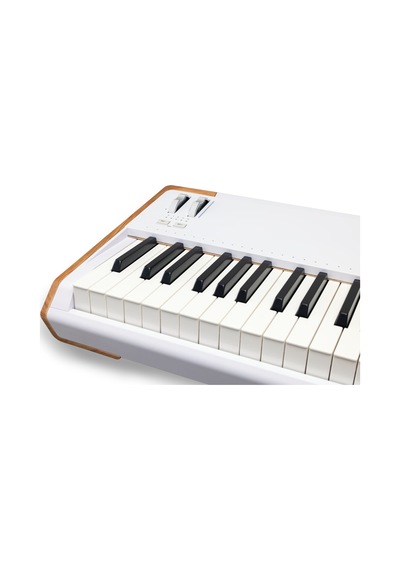 Astrolab 88 Avantgard Sahne Synthesizer 88 Tuş