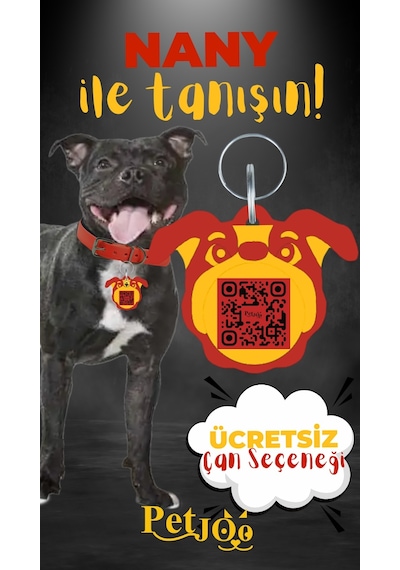 Petjoo 17.Nany Sarı-Kırmızı Qr'lı Köpek Künyesi