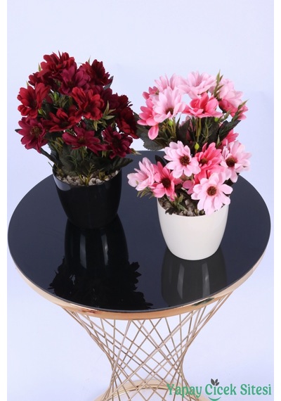 Yapay Çiçek Sitesi Plastik Saksıda Yapay Katmerli Papatya Tanzimi 2'li Set 25 Cm Bordo - Fuşya Pembe