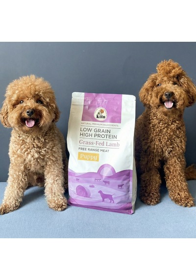 Kito Kuzu Etli Yavru Köpek Maması 2500 G + Kito Fresh Hindi Etli Köpek Yemeği 6'lı