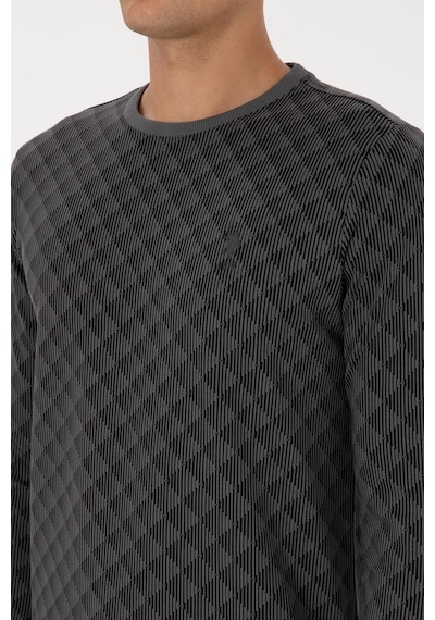 U.S. Polo Assn. Erkek Regular Fit Bisiklet Yaka Pamuk Antrasit Sweatshirt 2245989