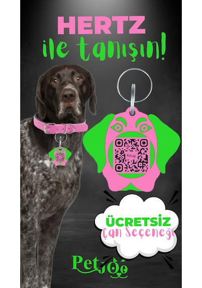 Petjoo 26.Hertz Yeşil-Pembe Qr'lı Köpek Künyesi