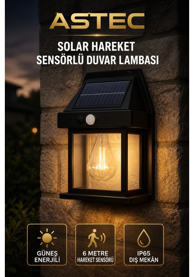 Astec Solar Hareket Sensörlü Duvar Lambası 20w Ip65 Güneş Enerjili Bahçe Apliği Gün Işığı
