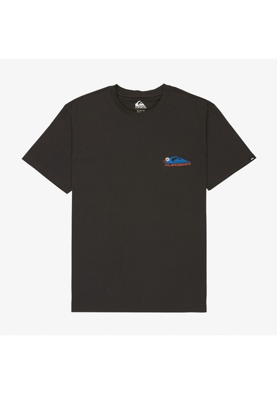 Quiksilver Fruits Tide Erkek Gri T-shirt Eqyzt08285