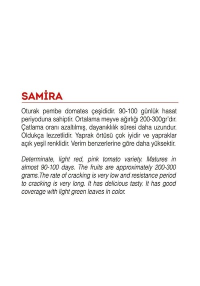 AGRodal Tarım Ata Tohumu Yerli Doğal Pembe Köy Domatesi 1000 Adet Tohum