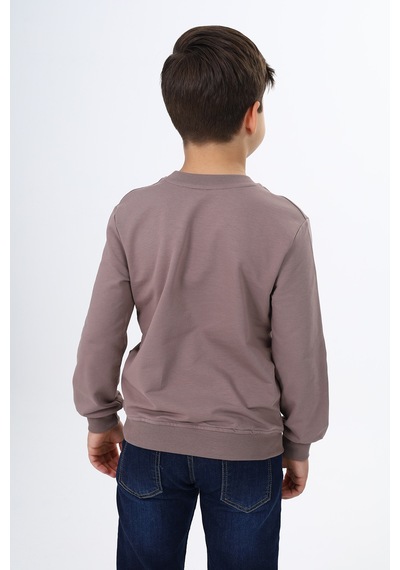 Toontoy Erkek Çocuk Baskılı Sweatshirt Acı Kahverengi