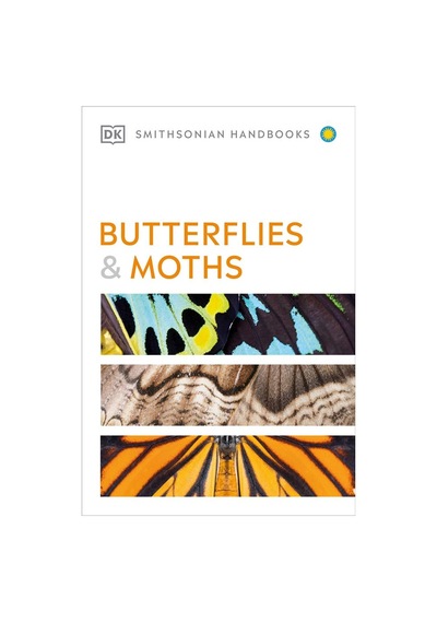 Butterflies And Moths