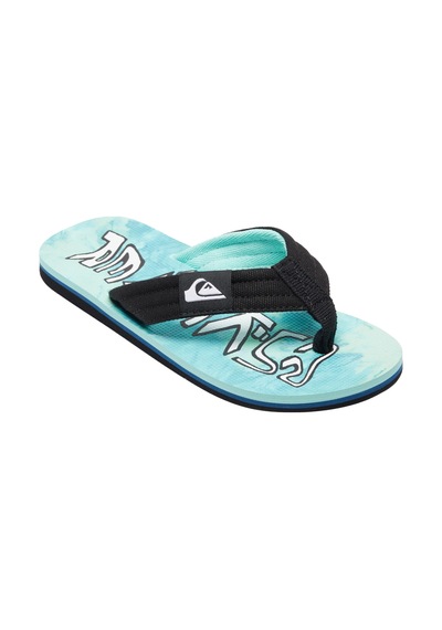 Quıksılver Quiksilver Molokai Layback Iı Youth Erkek Çocuk Yeşil Terlik Xgby