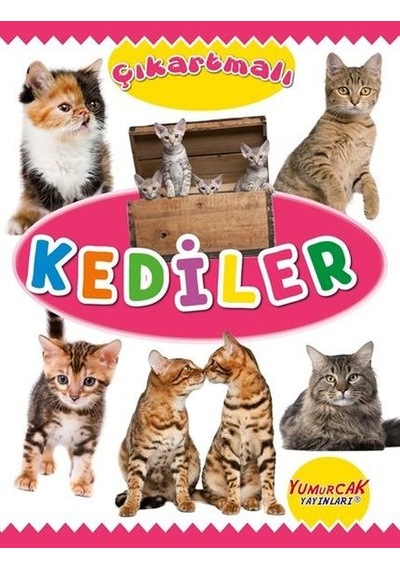 Çıkartmalı Kediler- Yumurcak Yayınları