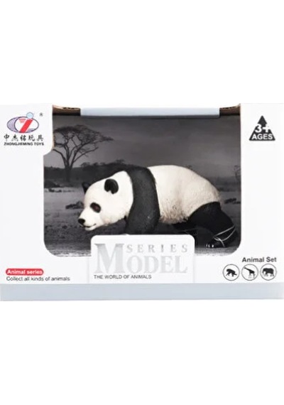 Kutulu Model Yürüyen Panda