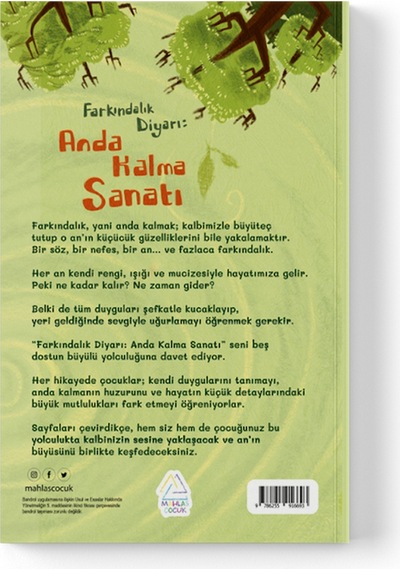 Harika Baydar Hasırcı - Farkındalık Diyarı: Anda Kalma Sanatı