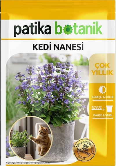 100 Adet Kedi Nanesi Çiçek Tohumu