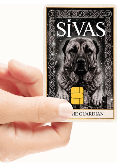 Sivas - The Guardian Black Kart Kaplama Sticker Kart Etiketi Yüksek Kaliteli Hologramlı Baskı Standart