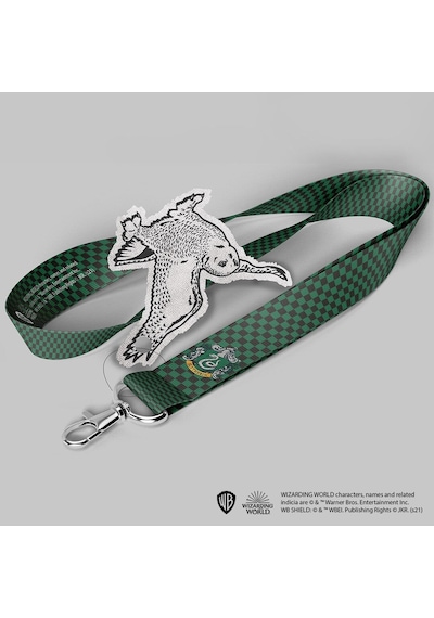 Wizarding World - Harry Potter - Boyunluk - Slytherin Çok Renkli