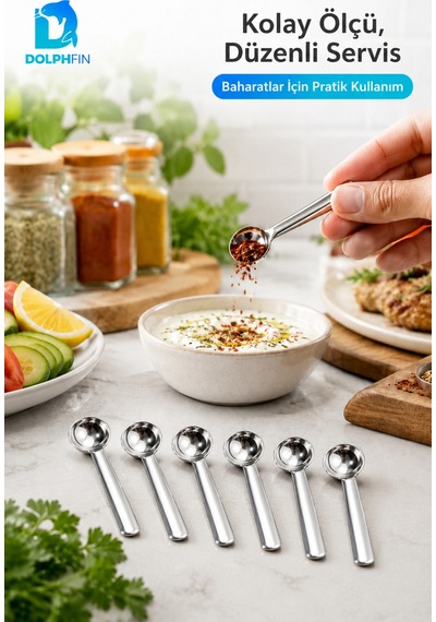 6 Lı Mini Paslanmaz Çelik Baharat Kaşığı Ölçü Ve Servis Kaşık Seti Metalik