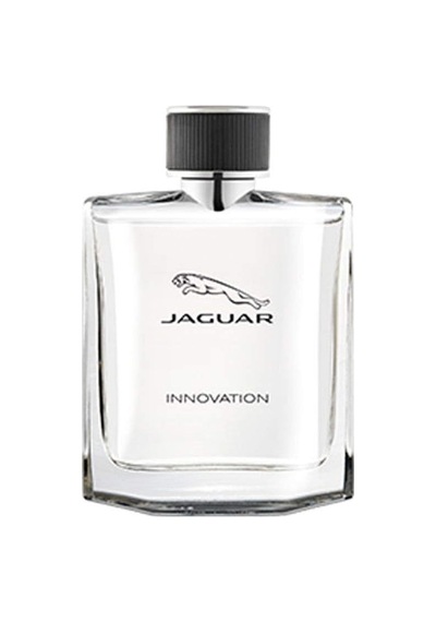 Innovation Edt 100 Ml Erkek Parfüm Diğer
