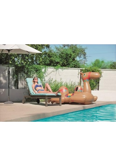 Deve Binici 221x135 Cm Bestway - 41125 Çok Renkli