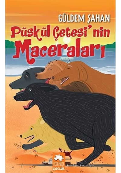 Püskül Çetesi'nin Maceraları - Güldem Şahan - Eksik Parça