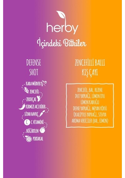 Destek Paketi Defense Ginger Shot 12'li Paket + Zencefilli Ballı Kış Çayı