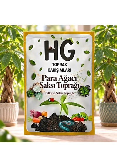 Hg Para Ağacı Saksı Toprağı 20 LT