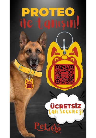 Petjoo 24.Proteo Kırmızı-Sarı Qr'lı Köpek Künyesi