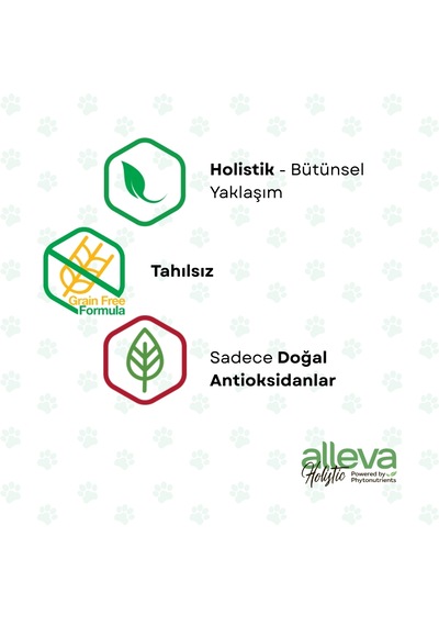 Alleva Holistik Balıklı Tahılsız Maxi Irk Yavru Köpek Maması 2 Kg