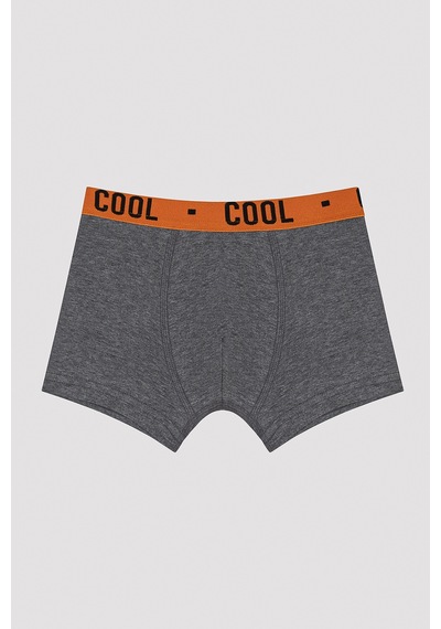 Penti Erkek Çocuk Cool Spor 2li Boxer Çok Renkli