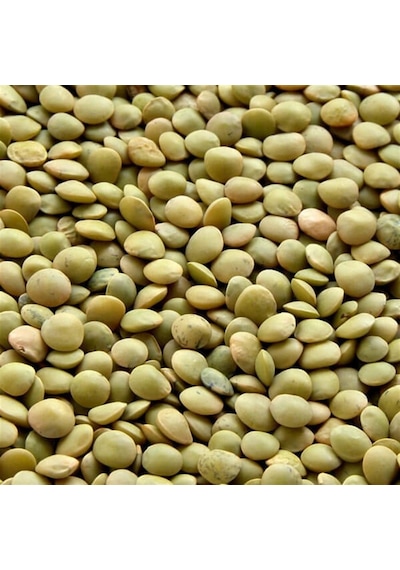 Doğal Yeşil Mercimek Tohumu 20 Adet