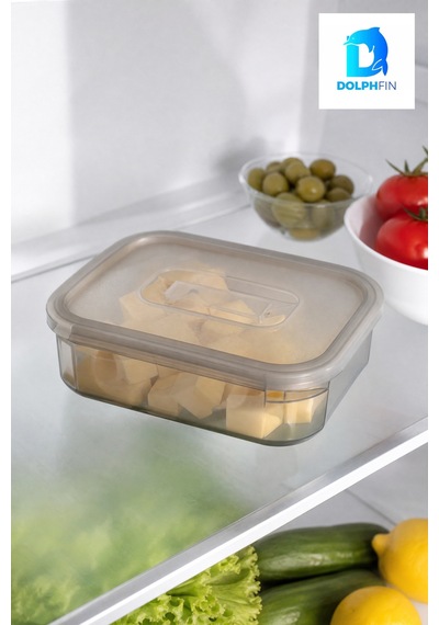 Mikro Saklama Kabı 750 Ml Çok Renkli 17 X 13 X 5 Cm