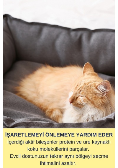 Hijyen Spreyi Pet 5000 Ml