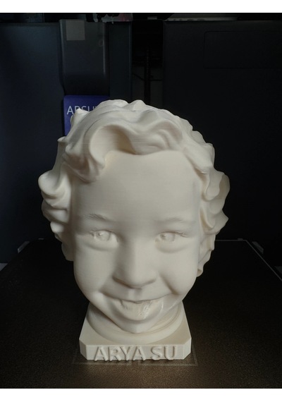 Fotoğraftan Kişiye Özel 3D Büst (10-13 cm)