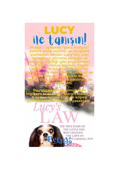 Petjoo 11.Lucy Mavi-Sarı Qr'lı Köpek Künyesi