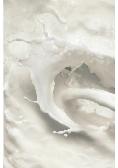 Milk & Honey Gold Besleyici El Ve Vücut Kremi Yeni Ambalaj