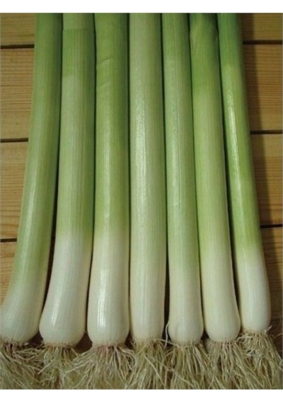 Yerli İnegöl Pırasa Tohumu 10 GR Ort 3000 Ad Tohum N111445