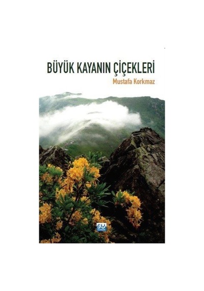 Büyük Kayanın Çiçekleri - Mustafa Korkmaz - Su Yayınları