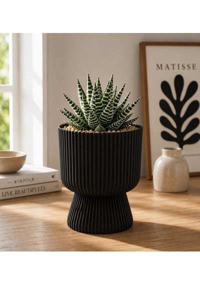 Omnipazar So-ltsa01 Lotus Ayaklı Plastik Vazo Çiçek Saksı 1.8 Litre No: 1 Siyah