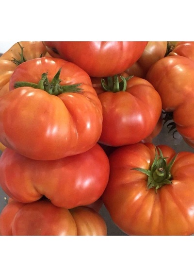Köy Domatesi Tohumu 2 Gr Paket 1 Paket
