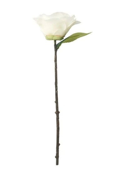 Ikea Smycka Yapay Kamelya Dalı 28 Cm Yeşil Bej Beyaz Bej - Beyaz