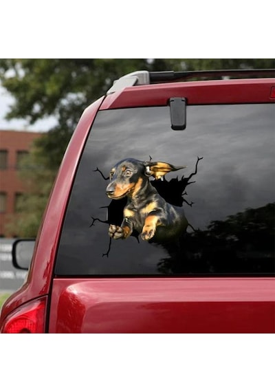 Araba Arka Cam Köpek Sticker Yapıştırma 17Cm A5