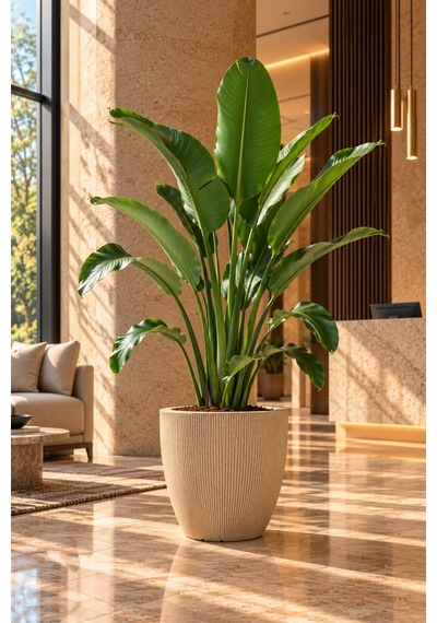 Bostann Dekoratif Saksı - Botonıa 030 - 50l - Bej 50 Lt
