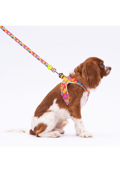 Monsters Leash Kedi Köpek Sevk & Gezdirme Kayışı Köpek Uzatma Tasması-1,5cm Çok Renkli