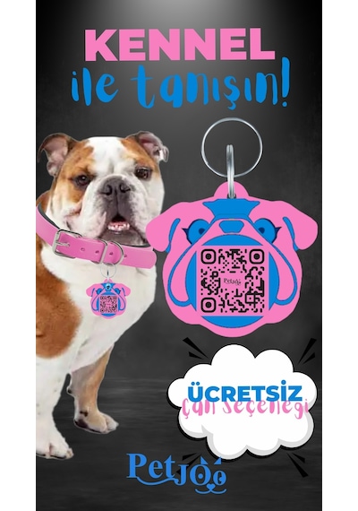 Petjoo 16.Kennel Mavi-Pembe Qr'lı Köpek Künyesi