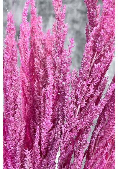 Pembe Bulgur Otu Vazo Aranjman Çiçeği
