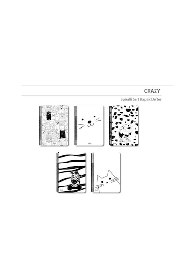 Papirüs Crazy Spiralli Sert Kapak 16x23 120yp. Çizgisiz Çok Renkli