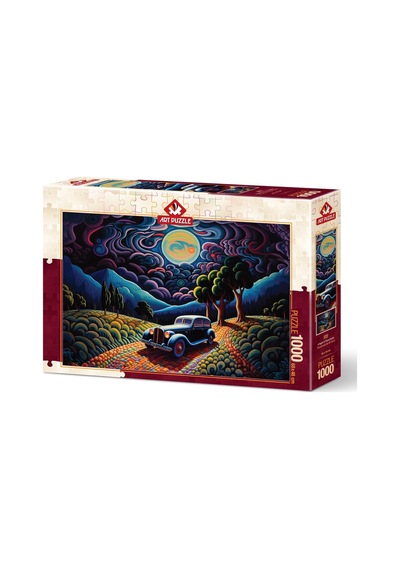 Art Puzzle Transilvanya'da Bir Gece