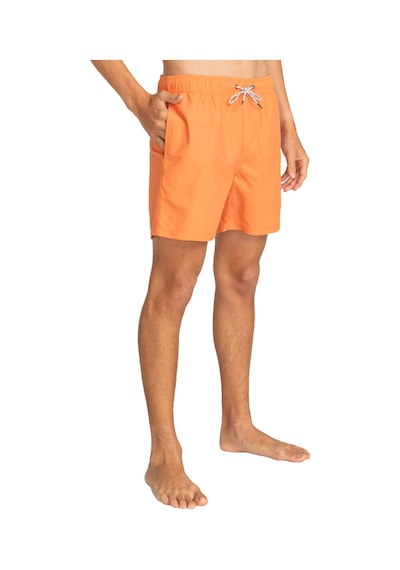 Bıllabong Billabong All Day Lb Erkek Yeşil Volley Short 763 Çok Renkli