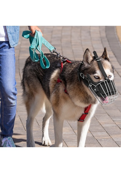 İri Irk Metal Deri Köpek Ağızlığı 43 Cm Xxl Siyah