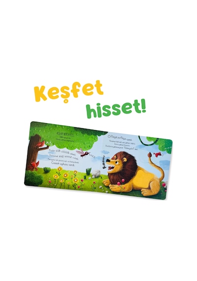 Sincap Ilk Dokun Hisset Oyna Öğren Kitabım - Ormana Dokun
