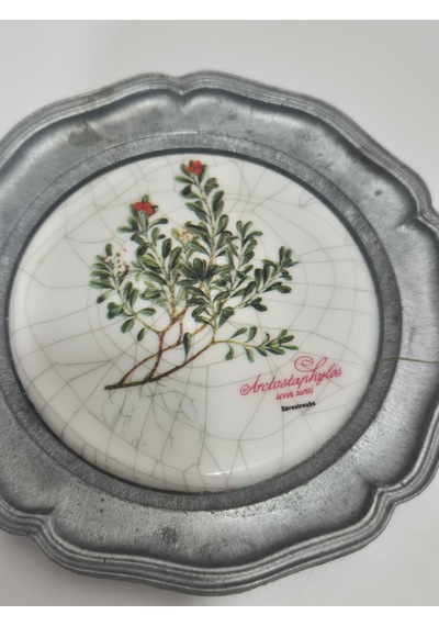 Vintage Zınn Çerçeveli Dekoratif Çiçek Temalı Duvar Tabağı 10cm 009